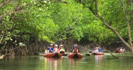 Jamaica's green revolution: a guide to sustainable ecotourism adventures