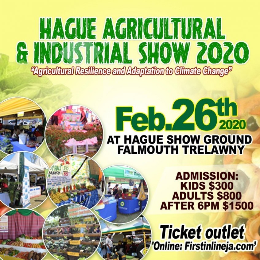 Hague Agricultural and Industrial Show 2020