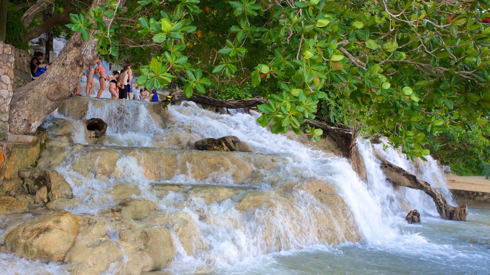 600 feet of clear fun at Dunn’s River Falls