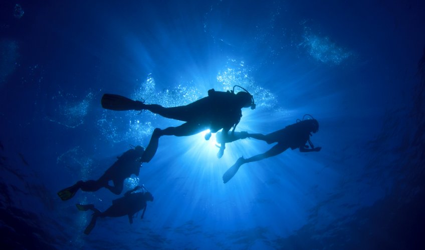 Deep Dive: Jamaica's Best Dive and Snorkel Spots   