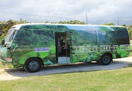 Jamaican Land of Film ... Jamaican Land of Film ...