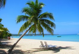 Head to the beach: Neg... Head to the beach: Neg...