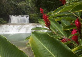 10 must do’s in Jama... 10 must do’s in Jama...