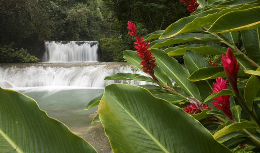 10 must do’s in Jamaica 10 must do’s in Jamaica