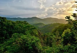 5 incredible Jamaican ... 5 incredible Jamaican ...