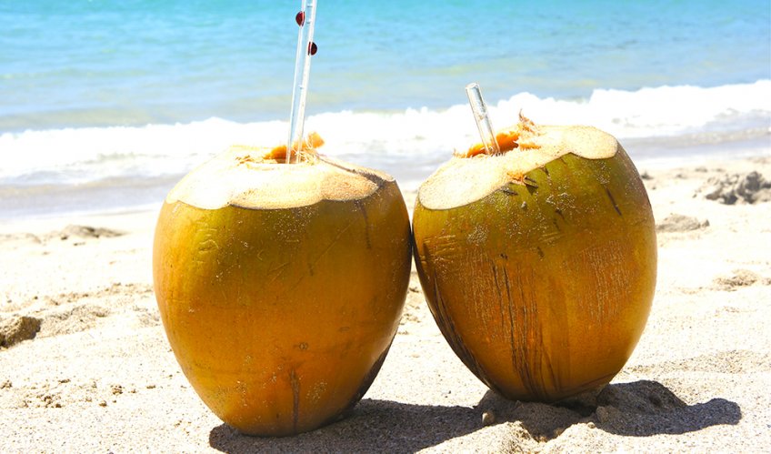 Go Nuts for the Jamaican Coconut