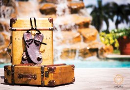 Island-inspired takeaw... Island-inspired takeaw...