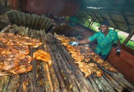 Top places to eat in M... Top places to eat in M...