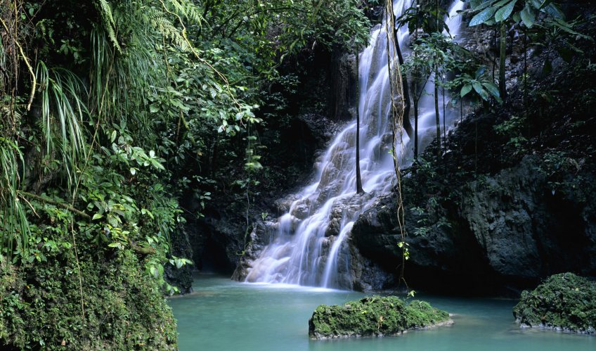 Top 5 Jamaican Waterfalls