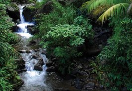 Chasing waterfalls...o... Chasing waterfalls...o...