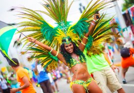 A newbie’s guide to ... A newbie’s guide to ...