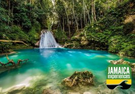 Get The Jamaica Experi...