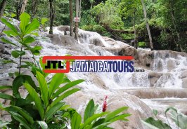 Dive into Jamaica  wit... Dive into Jamaica  wit...