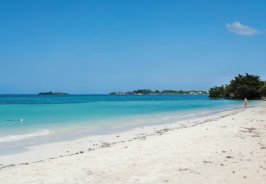 Destination: Negril Destination: Negril