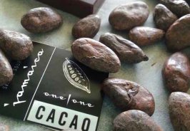 Experience One | One C... Experience One | One C...