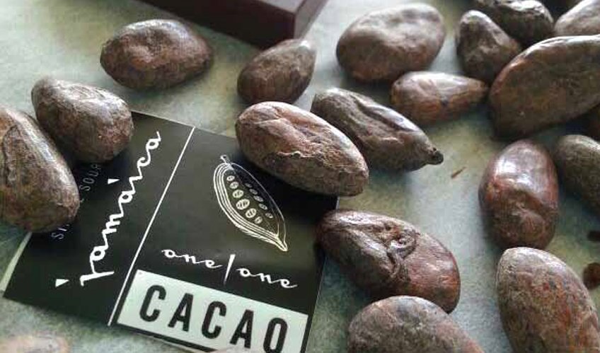 Experience One | One Cacao