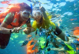 Have fun snorkeling in... Have fun snorkeling in...