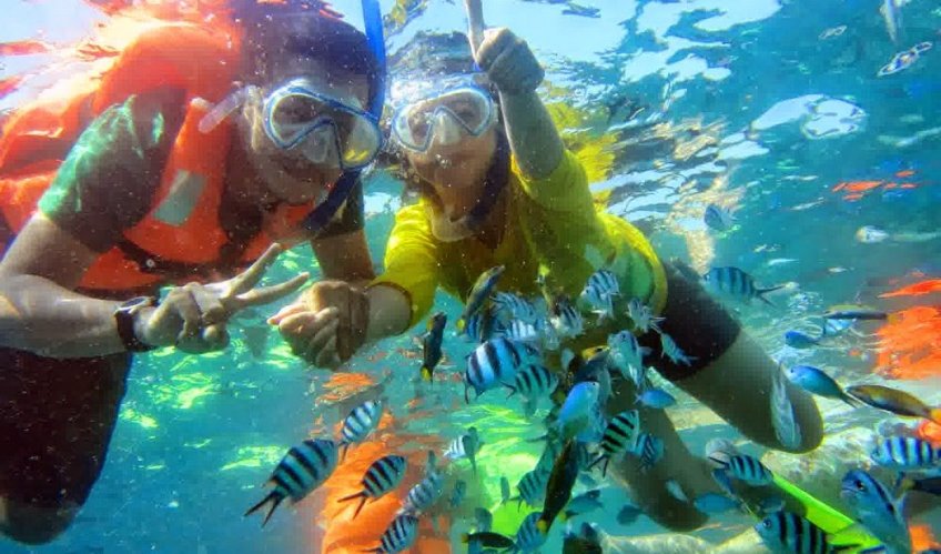 Have Fun Snorkeling in Jamaica!