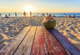 Five Places to See A G... Five Places to See A G...