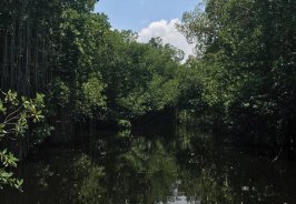 A journey beyond the r... A journey beyond the r...