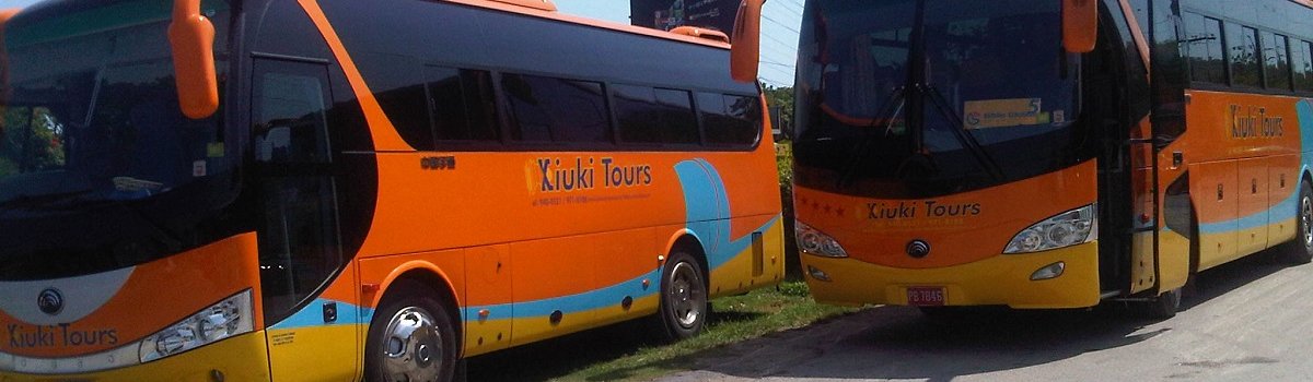 kiuki tours job vacancies