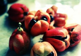 7 ways to enjoy ackee ... 7 ways to enjoy ackee ...