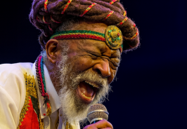 The story of Bunny Wai... The story of Bunny Wai...